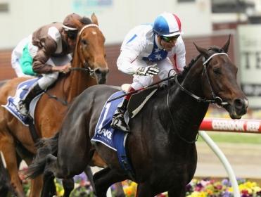 Timeform's US team provide you with three bets for tonight